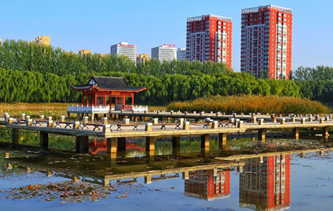 寧夏大学