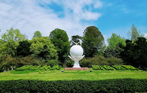 南京林業大学