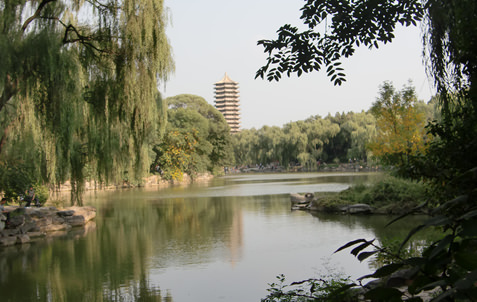 北京大学