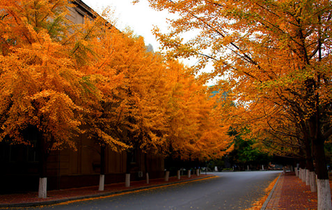 遼寧大学