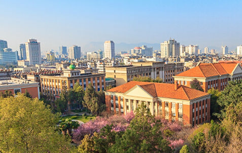 雲南大学