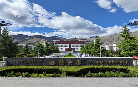 西蔵大学